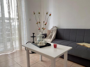 Elgreco Apartment in Kos town 2